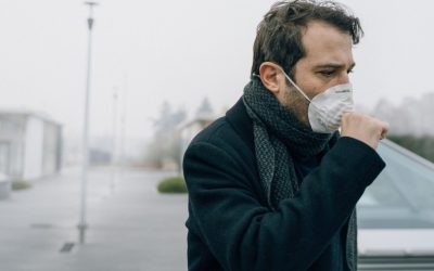 Europa se confruntă cu o alertă privind calitatea aerului, după ce Agenția Europeană pentru Meteorologie și Climă Copernicus a lansat un avertisment privind un episod major de poluare cu particule fine în anumite zone ale Europei de Vest