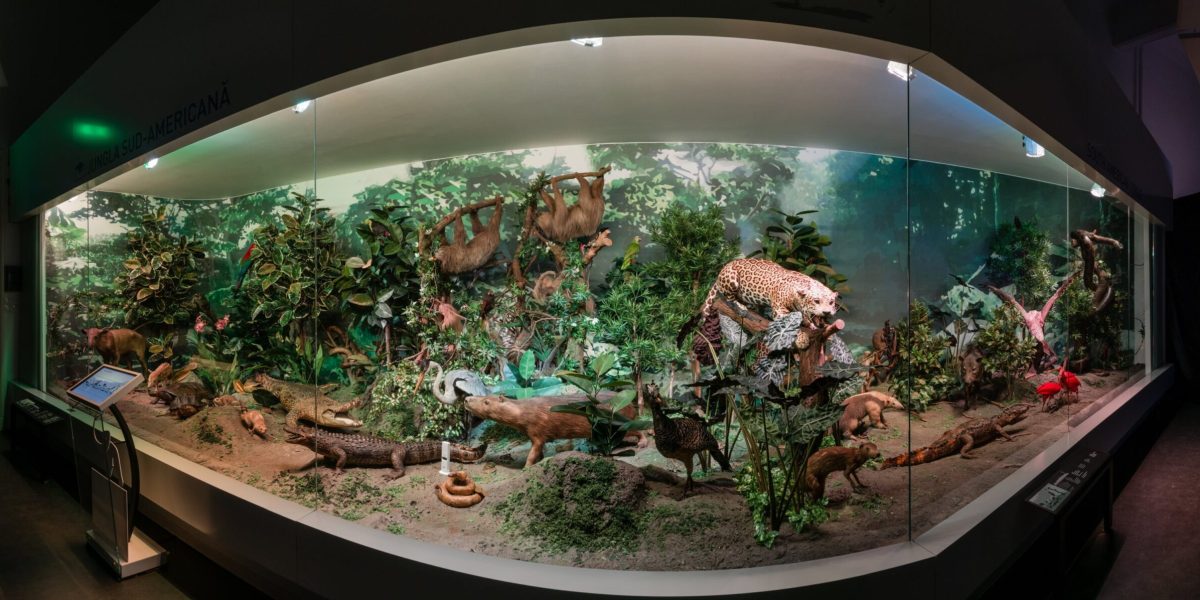 Atelier pentru tineri cu cerințe speciale la Muzeul Național „Antipa”