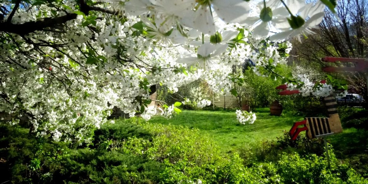 Primăvara pare că și-a făcut intrarea înainte de vreme în România, aducând temperaturi neașteptat de ridicate pentru începutul lunii martie