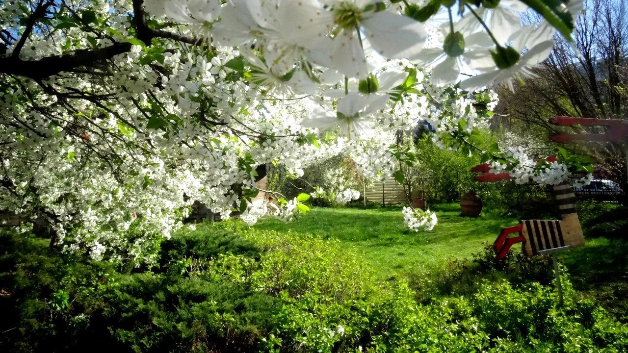 Primăvara pare că și-a făcut intrarea înainte de vreme în România, aducând temperaturi neașteptat de ridicate pentru începutul lunii martie