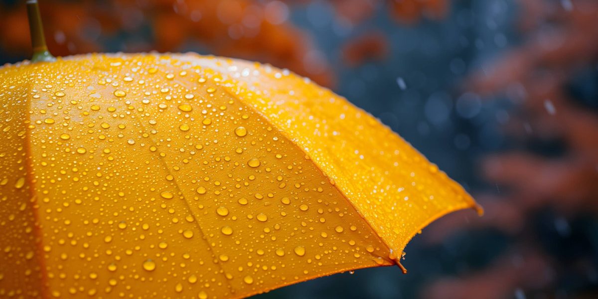 Prognoza meteo pentru următoarele patru săptămâni. Cum va fi vremea până la final de aprilie