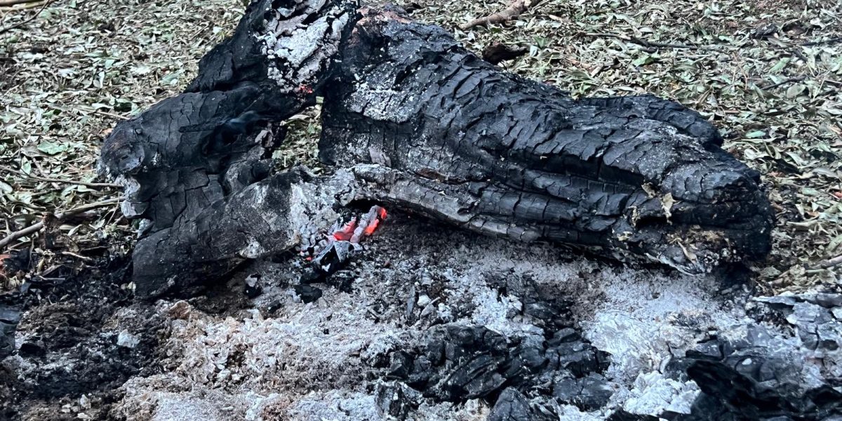 Aeronavele militare românești au intervenit cu autorizație explicită, după incidentul de la granița cu Ucraina Marți dimineața, tensiunile de la frontiera de nord-est a României au atins un nou nivel, odată cu intervenția aviației militare în apropierea zonei de frontieră cu Ucraina