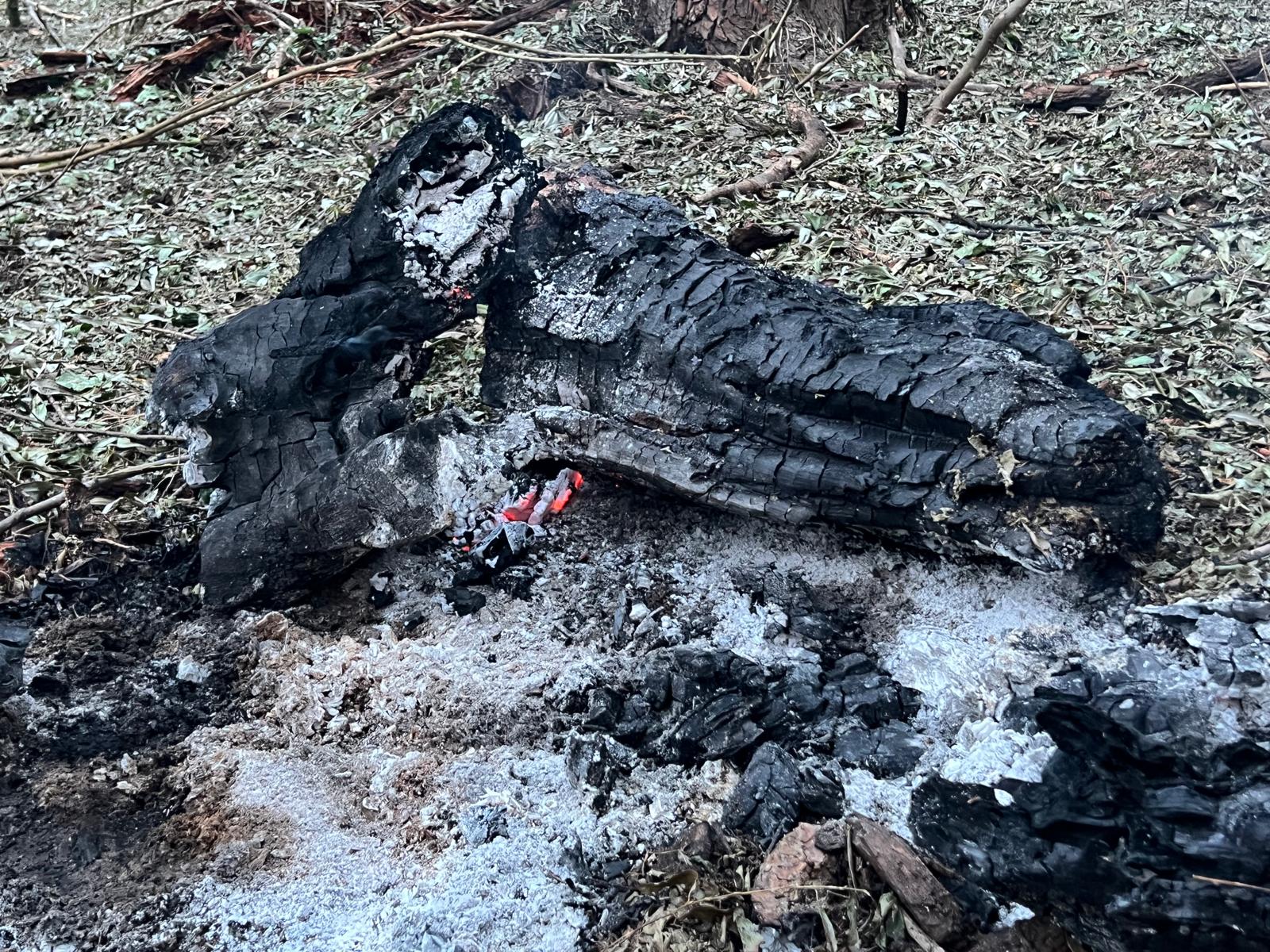 Aeronavele militare românești au intervenit cu autorizație explicită, după incidentul de la granița cu Ucraina Marți dimineața, tensiunile de la frontiera de nord-est a României au atins un nou nivel, odată cu intervenția aviației militare în apropierea zonei de frontieră cu Ucraina