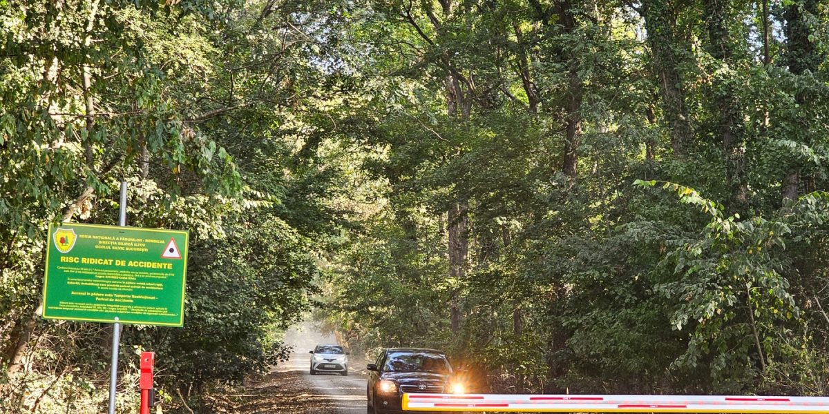 Ministrul Mediului: Ne angajăm să protejăm Pădurea Băneasa