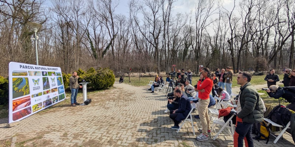 Pădurea Băneasa intră pe cale oficială spre statutul de arie naturală protejată de interes național, un demers ce ar putea reda unei zone emblematică din nordul Bucureștiului importanța ecologică și valoarea sa pentru comunitatea locală