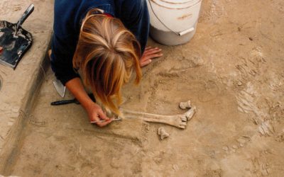 Unelte din fildeș de mamut, de 14.000 de ani, descoperite în Alaska; nouă ipoteze despre originea primilor oameni din America