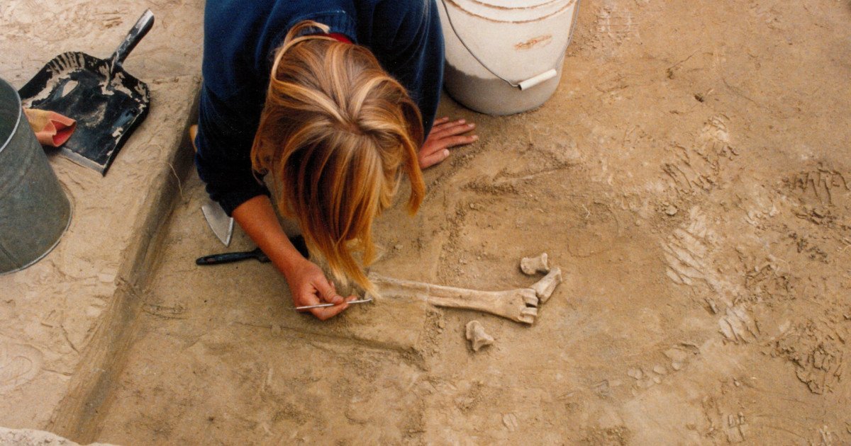 Unelte din fildeș de mamut, de 14.000 de ani, descoperite în Alaska; nouă ipoteze despre originea primilor oameni din America