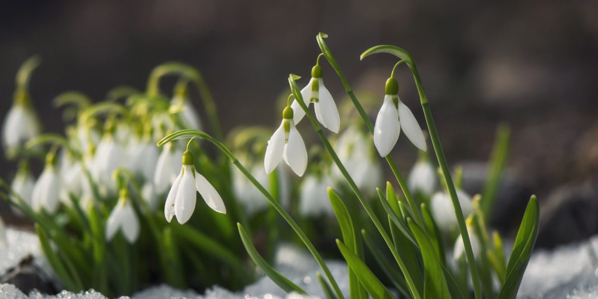 Meteorologii anunță un început de săptămână cu vreme variabilă, în timp ce o alertă de vânt puternic îi avertizează pe români de potențiale pericole