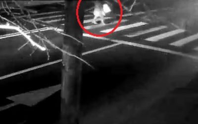 Un accident rutier grav, care a șocat întreaga comunitate și a pus pe jar autoritățile, a fost deturnat de o serie de imagini surprinse în momentele fatale, ce par să dezvăluie un detaliu major despre circumstanțele tragediei