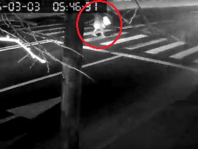 Un accident rutier grav, care a șocat întreaga comunitate și a pus pe jar autoritățile, a fost deturnat de o serie de imagini surprinse în momentele fatale, ce par să dezvăluie un detaliu major despre circumstanțele tragediei