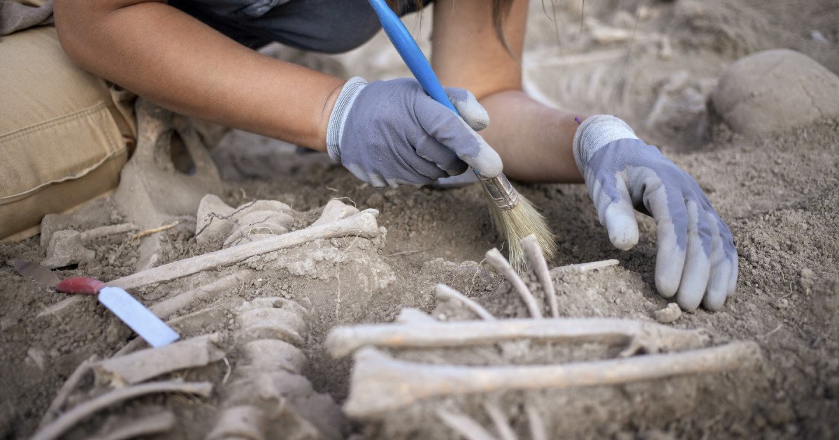 O descoperire macabră, dar cu potențialul de a schimba înțelesul istoriei Europei preistorice, a ieșit la iveală în nordul Serbiei: o groapă comună veche de aproximativ 2.800 de ani, unde au fost dezgropate zeci de schelete