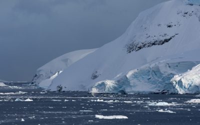 Antarctica, continentul acoperit în ceață de gheață eternă, a început să-și arate semnele de redresare după o perioadă de declin alarmant al nivelului gheții marine