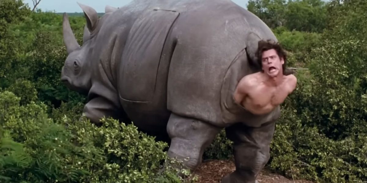 Un obiect de recuzită cinematografică care a devenit iconic în cultura pop, rinocerul mecanic folosit în filmul de comedie „Ace Ventura: When Nature Calls”, este scos la licitație și a atras deja atenția colecționarilor și pasionaților de arte vizuale din întreaga lume