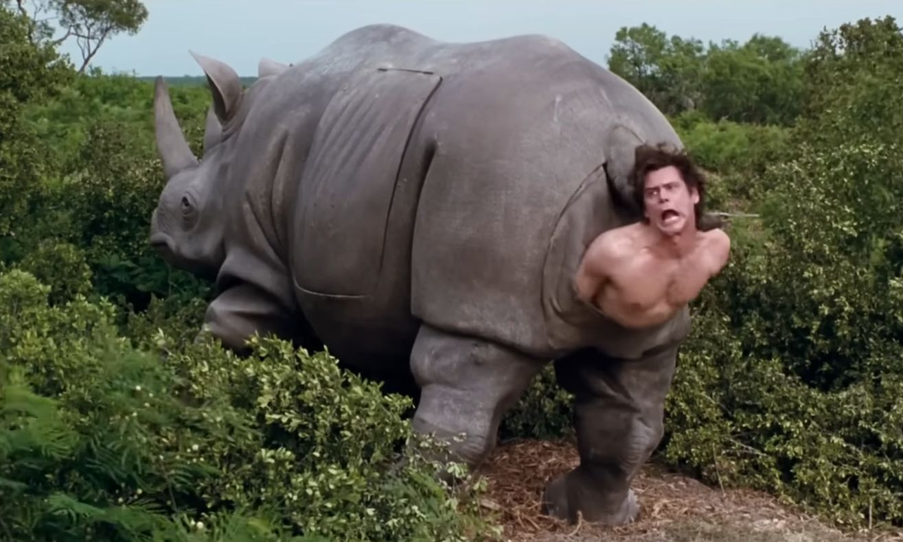 Un obiect de recuzită cinematografică care a devenit iconic în cultura pop, rinocerul mecanic folosit în filmul de comedie „Ace Ventura: When Nature Calls”, este scos la licitație și a atras deja atenția colecționarilor și pasionaților de arte vizuale din întreaga lume