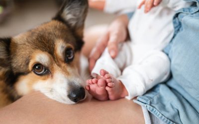 Prezența unui câine în casă nu este doar o sursă de companie sau de veselie pentru întreaga familie, ci vine și cu beneficii neașteptate pentru sănătatea copiilor