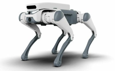 Primul oraș din România în care roboții se ocupă de ordinea pe străzi