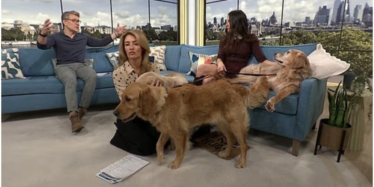 Influențăriță a acumulat 150.000 lire din câinii săi celebri pe Instagram (VIDEO)