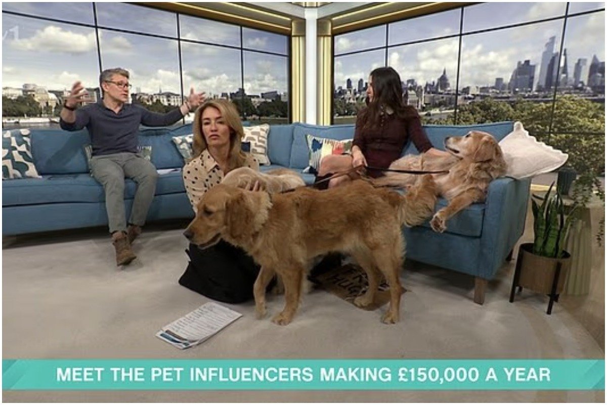Influențăriță a acumulat 150.000 lire din câinii săi celebri pe Instagram (VIDEO)