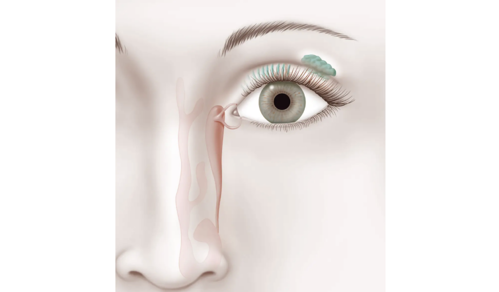 Un detaliu aproape invizibil al ochiului uman a captat recent atenția publicului, generând valuri de curiozitate și dezbateri acide pe rețelele sociale