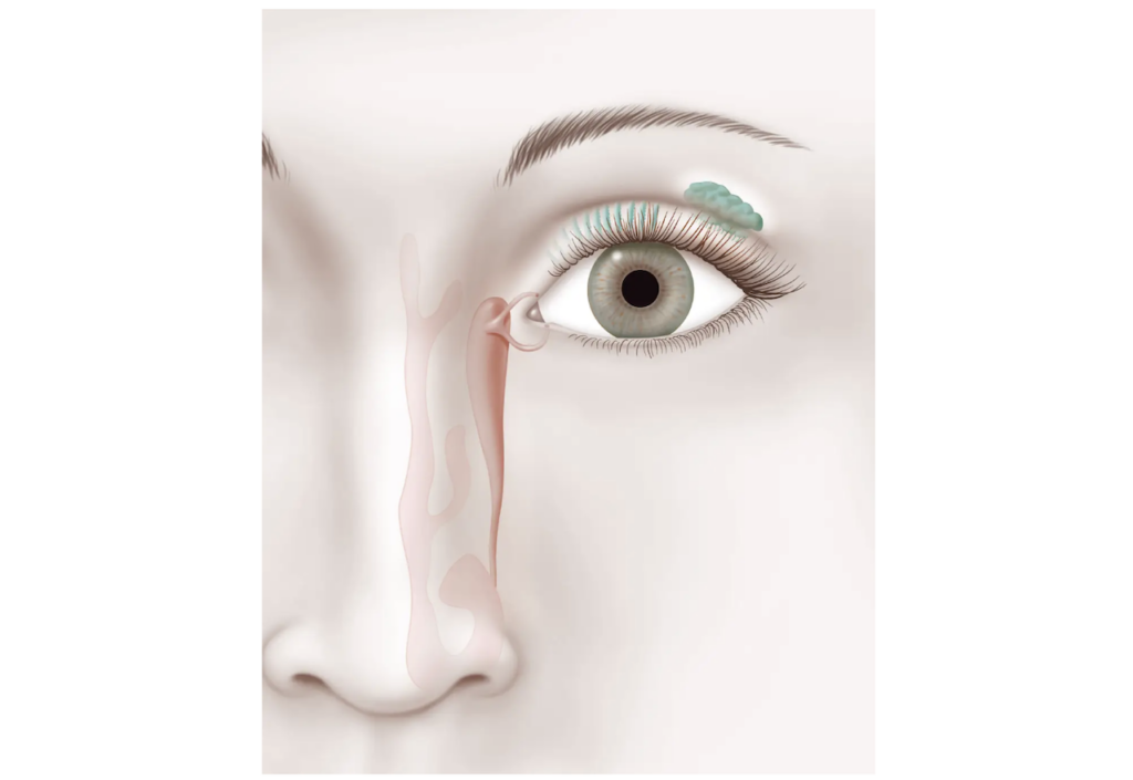 Un detaliu aproape invizibil al ochiului uman a captat recent atenția publicului, generând valuri de curiozitate și dezbateri acide pe rețelele sociale