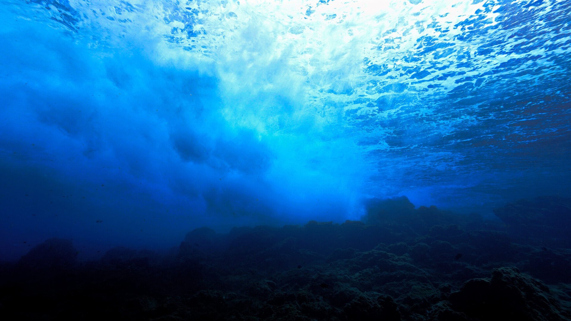 Depresiunea King, supranumită adesea „Marele Canion al Atlanticului,” este una dintre cele mai impresionante formațiuni subacvatice de pe planetă, întinsă pe aproape 500 de kilometri de-a lungul fundului oceanului Atlantic