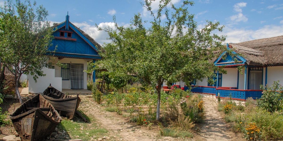 Reguli strict pentru gestionarea deșeurilor vegetale: ce trebuie să știe românii cu case la curte Odată cu sosirea primăverii sau în plin sezon de toamnă, gospodăriile din zonele rurale și suburbii devin din ce în ce mai aglomerate de la activitățile de curățenie și întreținere a grădinilor