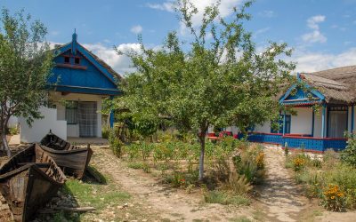 Reguli strict pentru gestionarea deșeurilor vegetale: ce trebuie să știe românii cu case la curte Odată cu sosirea primăverii sau în plin sezon de toamnă, gospodăriile din zonele rurale și suburbii devin din ce în ce mai aglomerate de la activitățile de curățenie și întreținere a grădinilor