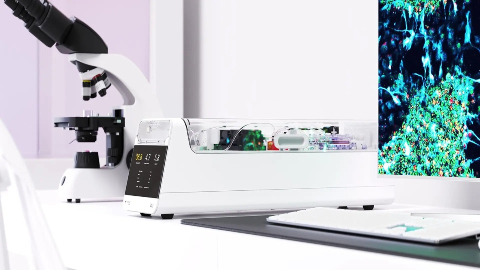 Cei mai avansați cercetători din domeniul biotehnologiei au atins recent un nou prag în domeniul inteligenței artificiale hibride, demonstrând că celulele cerebrale umane pot fi conectate direct la tehnologii digitale pentru a îndeplini sarcini complexe în timp real