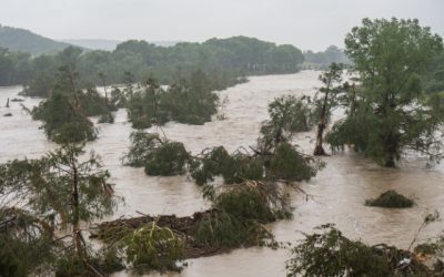 Google lansează AI-ul Gemini pentru predicția viiturilor
