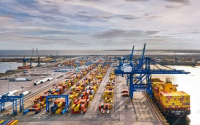 DP World lansează un proiect de protejare a mediului maritim în zona Portului Constanța Unul dintre cei mai mari operatori portuari din Europa, DP World, a anunțat recent demararea unui amplu program de restaurare a ecosistemelor marine de pe litoralul românesc