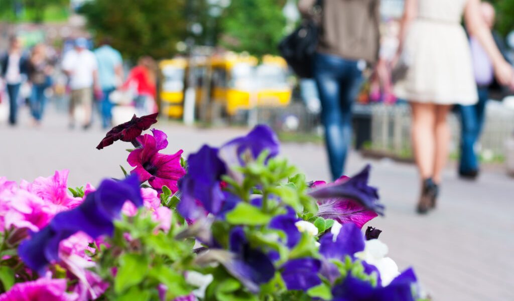 Vreme instabilă și schimbătoare la București în următoarele zile, cu perioade de ploi slabe și temperaturi în creștere Începutul săptămânii aduce pentru locuitorii Bucureștiului o vreme caracterizată prin schimbări bruște, cu ploi ușoare și un regim termic în ușoară creștere