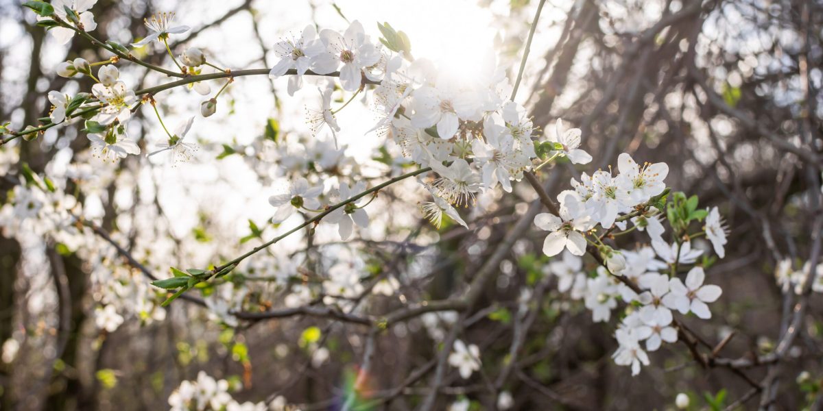 Ce se întâmplă în creier dacă ziua crește cu 20 de minute