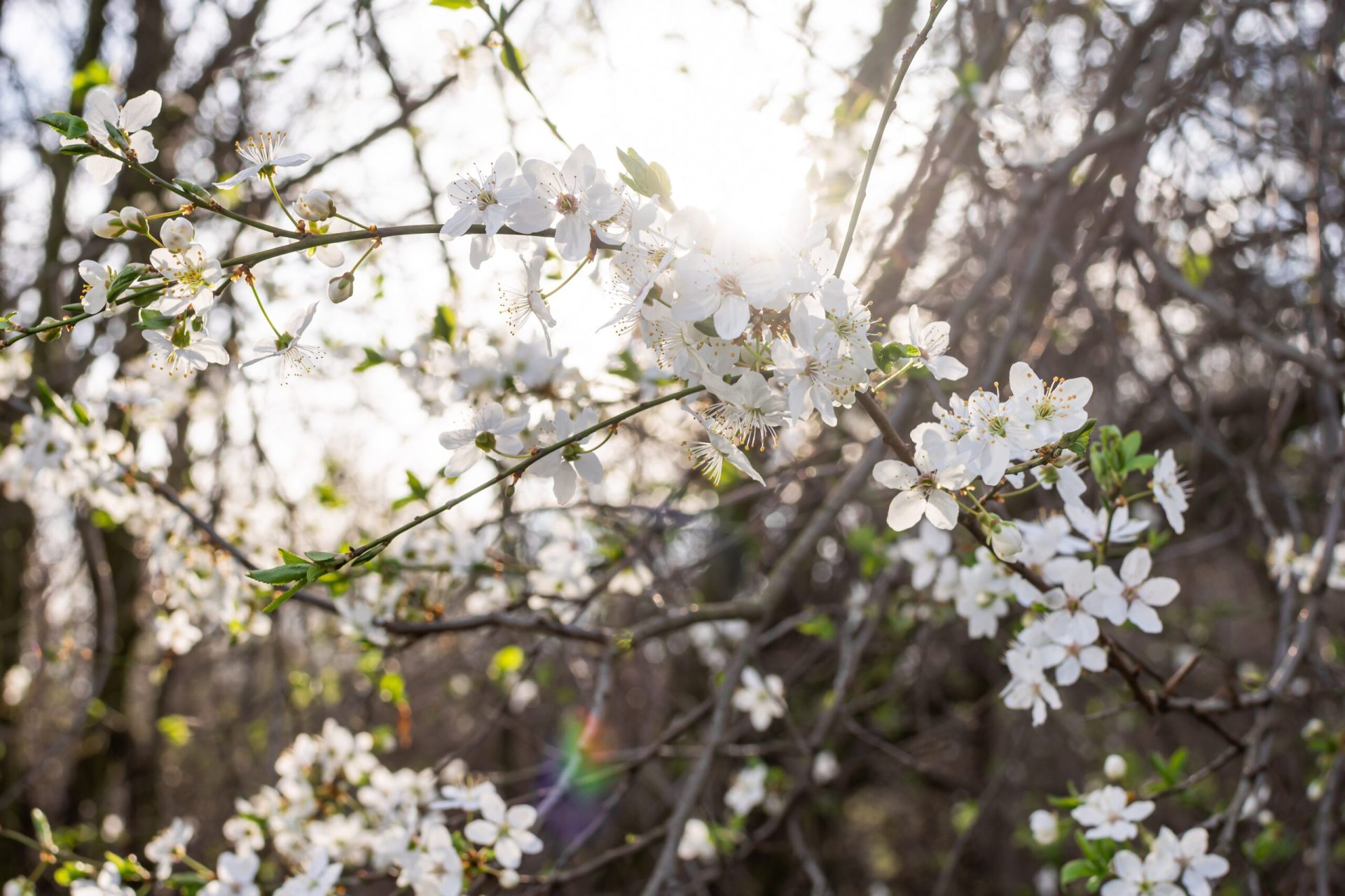 Ce se întâmplă în creier dacă ziua crește cu 20 de minute