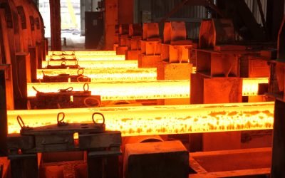 Legea „fabricat în Europa” a fost modificată în ultimul moment. Ce au hotărât parlamentarii?