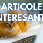 Dennis Redzepi, renumitul bucătar și fondator al restaurantului Noma, și-a anunțat oficial plecarea, după ce acuzații grave au ieșit la iveală