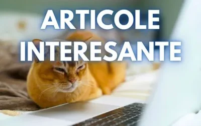 Dennis Redzepi, renumitul bucătar și fondator al restaurantului Noma, și-a anunțat oficial plecarea, după ce acuzații grave au ieșit la iveală