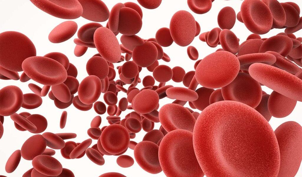 Cheagurile de sânge, o problemă insidioasă și frecventă în rândul populației moderne, pot avea consecințe devastatoare