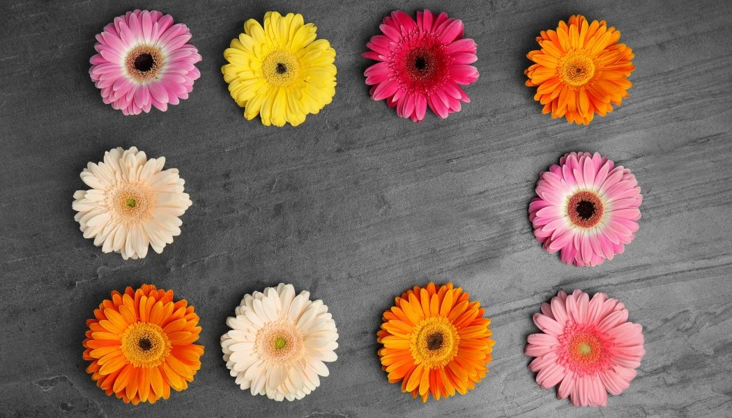 Sărbătoarea de Florii a adus nu doar tradiția și bucuria expectanței pentru milioane de români, ci și surprize pentru anumite zodii, conform previziunilor astrologice pentru anul 2026