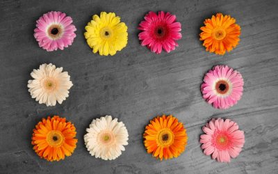 Sărbătoarea de Florii a adus nu doar tradiția și bucuria expectanței pentru milioane de români, ci și surprize pentru anumite zodii, conform previziunilor astrologice pentru anul 2026