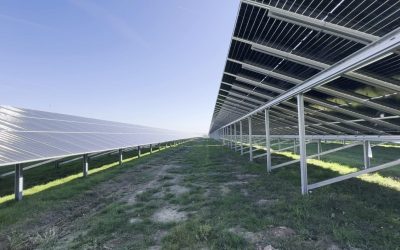 România a atins un nou record de producție instantanee de energie solară, incident chiar vineri, la ora 12:48, când parcurile fotovoltaice dispecerizabile au generat în mod simultan 2.081 MW, reprezentând aproximativ 29% din întreaga producție națională de electricitate