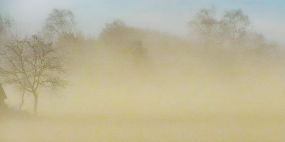 Poluarea aerului devine o amenințare acută pentru Europa de Vest, după avertizările recente ale Observatorului european Copernicus