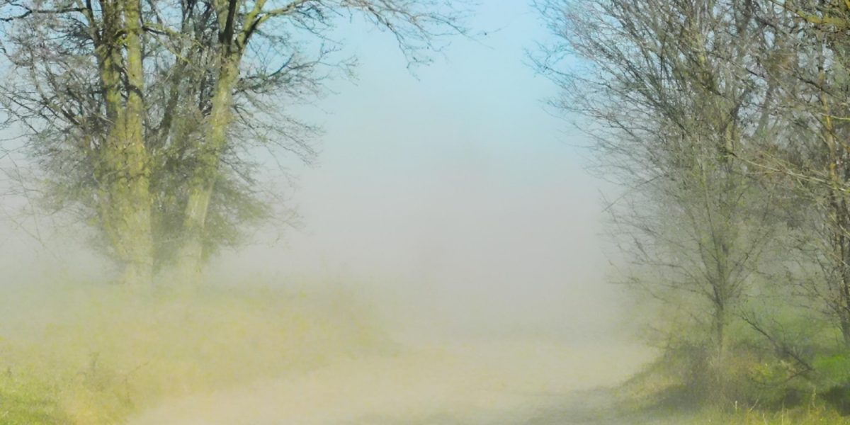 Furtună de proporții anunțată pentru sud-vestul țării, munți și Moldova; rafale de până la 70 km/h în Caraș-Severin Vremea tumultoasă se anunță săptămâna aceasta pentru o mare parte a țării, cu rafale de vânt extrem de puternice, în special în sud-vest, zona montană și în Moldova