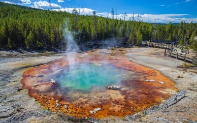 După mai bine de cinci ani de tăcere, Gheizerul Echinus din Parcul Național Yellowstone a avut o eruptie neașteptată, reamintind lumii de dinamismul extraordinar al unuia dintre cele mai fascinante fenomene geotermale ale Planetei