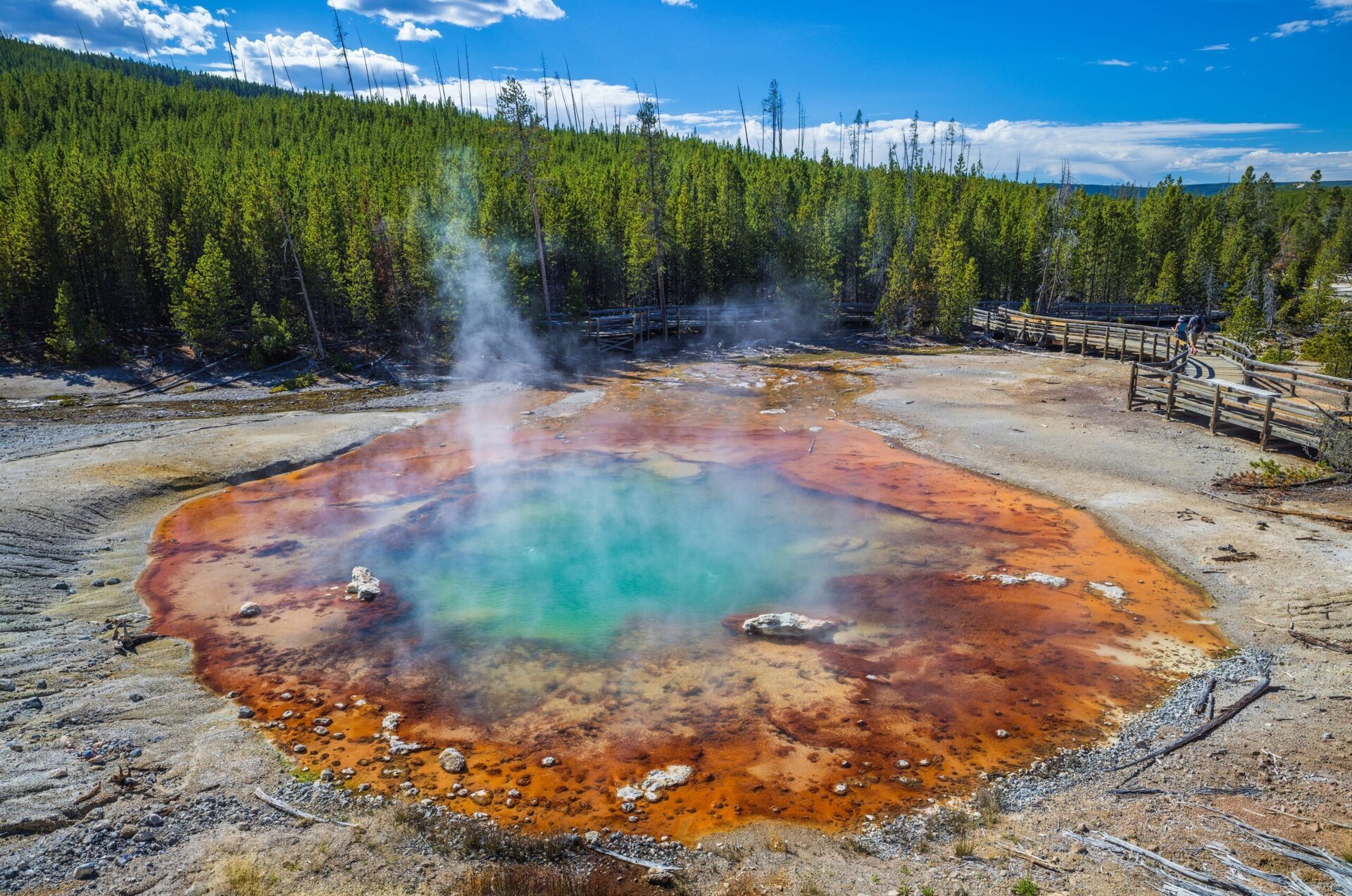 După mai bine de cinci ani de tăcere, Gheizerul Echinus din Parcul Național Yellowstone a avut o eruptie neașteptată, reamintind lumii de dinamismul extraordinar al unuia dintre cele mai fascinante fenomene geotermale ale Planetei
