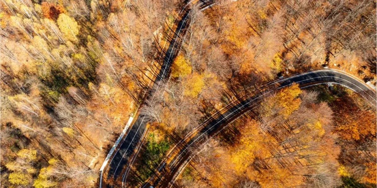 Drumul Național DN2L Soveja – Lepșa, odinioară simbolul neglijenței și al faptului că ineficiența investițiilor în infrastructură au transformat această cale fie uitată, fie considerată o „rușine națională”, beneficiază în sfârșit de o modernizare completă