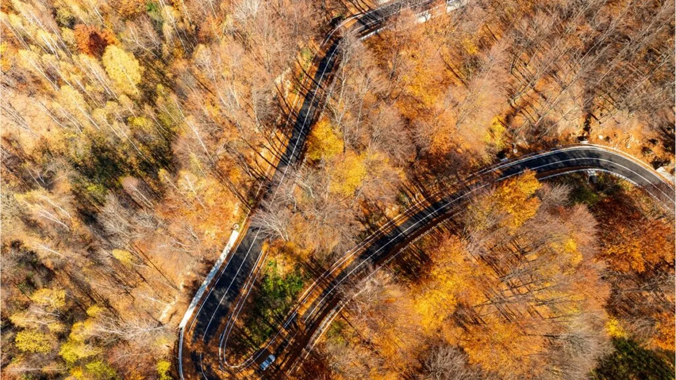 Drumul Național DN2L Soveja – Lepșa, odinioară simbolul neglijenței și al faptului că ineficiența investițiilor în infrastructură au transformat această cale fie uitată, fie considerată o „rușine națională”, beneficiază în sfârșit de o modernizare completă