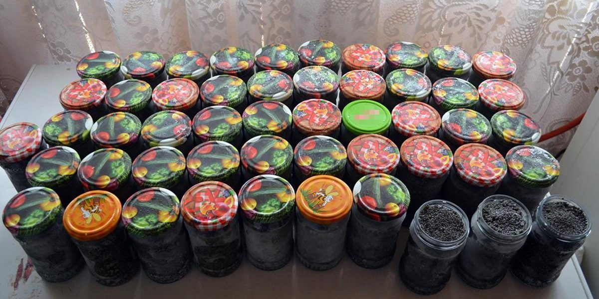 Poliția de frontieră și jandarmii din Constanța au făcut o descoperire majoră într-o operațiune împotriva braconajului piscicol: au descins la Făcăieni și au confiscat aproape 65 de kilograme de pește și icre ilegale, în valoare de aproximativ 155.000 de lei