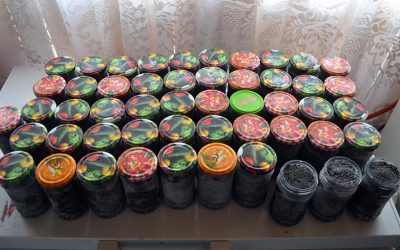 Poliția de frontieră și jandarmii din Constanța au făcut o descoperire majoră într-o operațiune împotriva braconajului piscicol: au descins la Făcăieni și au confiscat aproape 65 de kilograme de pește și icre ilegale, în valoare de aproximativ 155.000 de lei