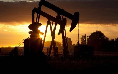 Piața petrolului traversează o criză de încredere, comportându-se ca și cum ar fi afectată de un șoc de proporții istorice, în timp ce celelalte sectoare ale economiei globale rămân aparent neperturbate