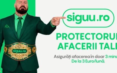 Asigurările pentru IMM-uri devin digitale: soluția românească care simplifică procesul